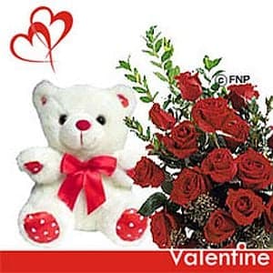 12 Valentine Roses n Teddy